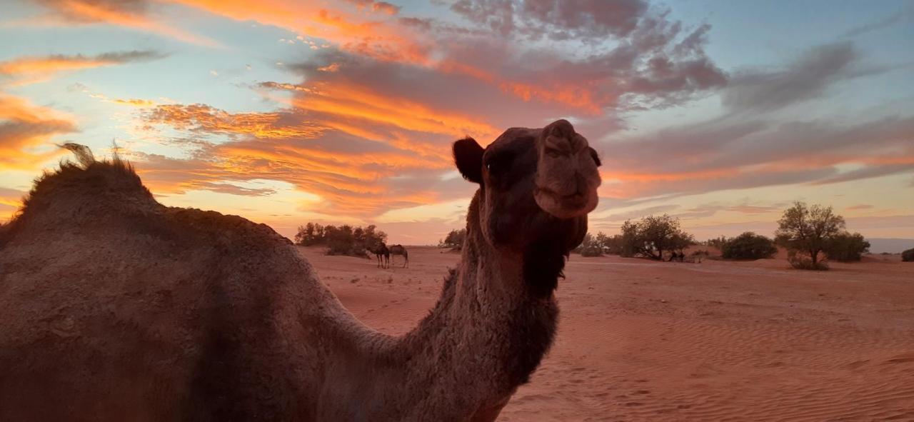 Erg Chegaga Nomad Tour Bed & Breakfast มามิด ภายนอก รูปภาพ