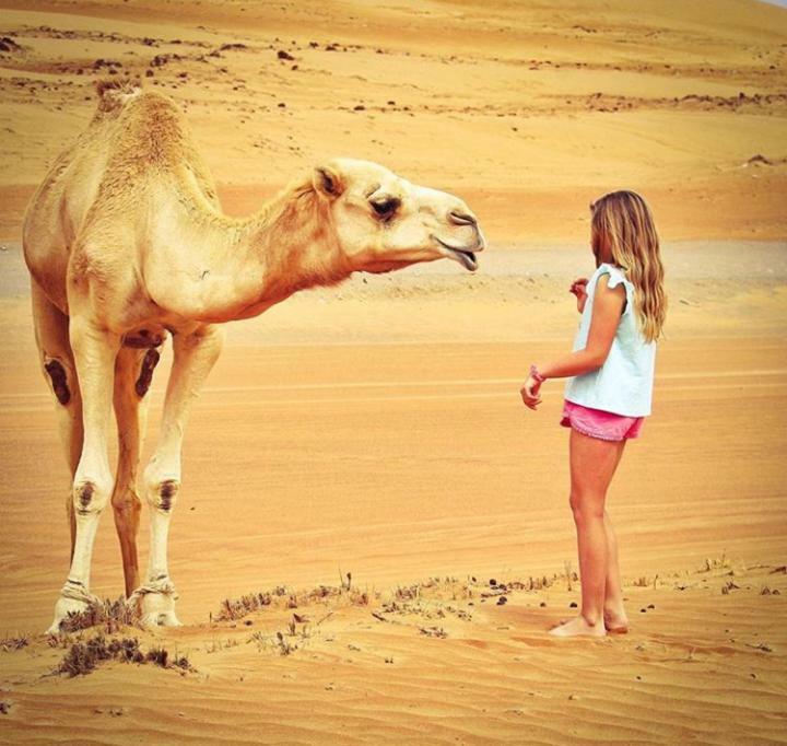 Erg Chegaga Nomad Tour Bed & Breakfast มามิด ภายนอก รูปภาพ