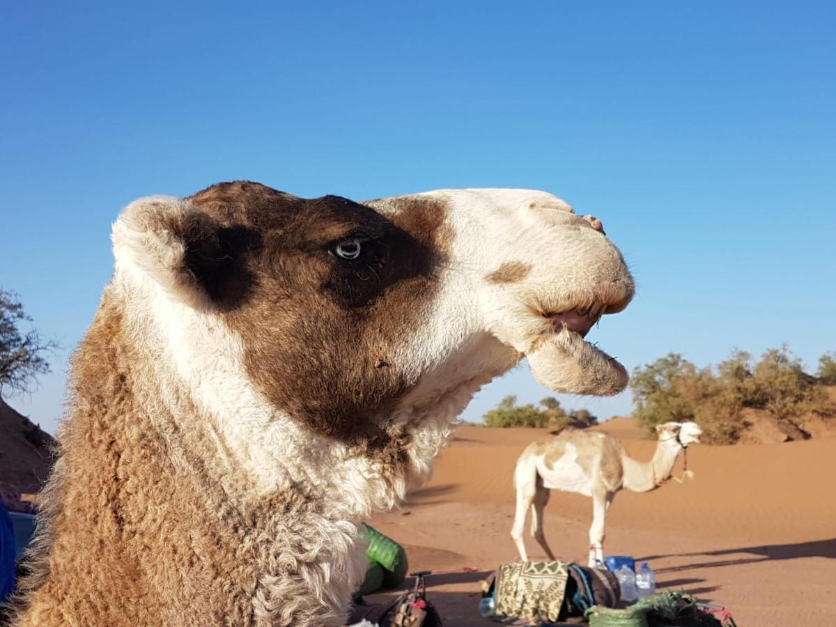Erg Chegaga Nomad Tour Bed & Breakfast มามิด ภายนอก รูปภาพ
